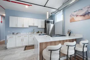 Near Brookfield Zoo - King Bed - Sleeps 6 - Image 3