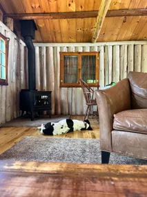 Horseshoe Pond Cabin - Image 3