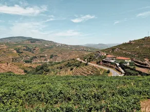 Fonte Country House with Jacuzzi - Douro Valley - Image 5