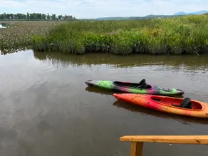 Catskill Wildlife Riverfront: Sunsets & Kayaks - Image 5