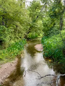 Belle Rive: Artesian Waters on Love Creek - Image 4
