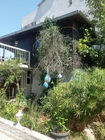 House with a deep blue pool and a lush green garden - Image 3