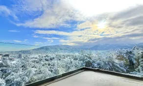 The Green Heaven - Image 2