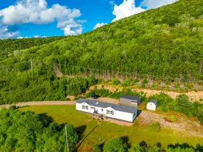 Lake Ainslie’s Hillside Yellow House - Image 2