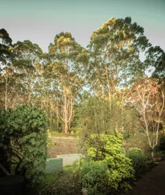 Whispering Karri Retreat 5 Acre Hideaway - Image 4