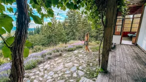 Lavender Cabin | Sauna | Sleeps 10 | Larch Hills - Image 4
