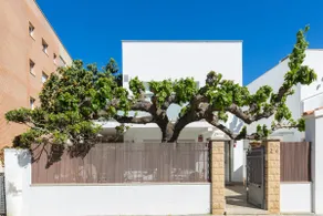 Villa Paula Trinidad - Image 2