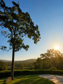 Heart of the Gold Coast • EV • Pet • Caravans - Image 2