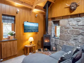 Wildcat Lodge- hot tub and pet friendly - Image 5