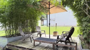 The Jungle House at Blue Spring |Renovated Getaway - Image 3