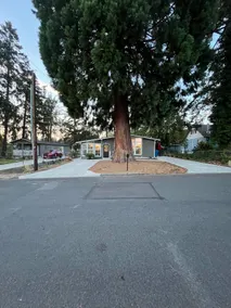 Quiet and spacious 4B3B home just minutes off I-5 - Image 2