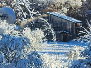 JEV BunkHouse - Image 3