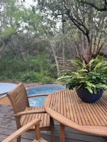 Scenic 2-Acre Retreat + Pool Near Lake Austin - Image 4