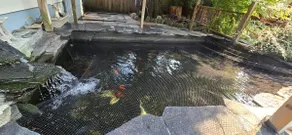 70s Home Retreat | Pond, Patio & Movie Lounges - Image 3