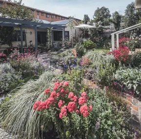 Blue Bee Cottage, garden retreat near Canberra - Image 5