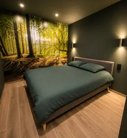 Wellness suite with private sauna near Liège - Image 3