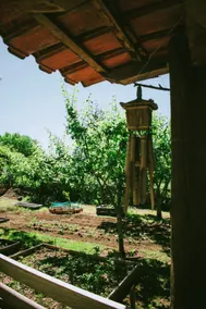 Villa Clementina - Image 2