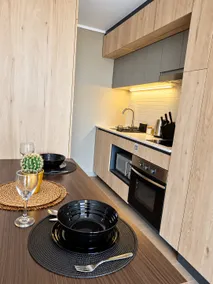 New apartment, metro, mall, gym, and terrace. - Image 3