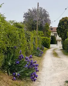 Casa Bellona in der Nähe von Venedig, Prosecco und den Dolomiten - Image 4