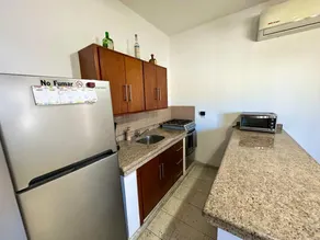 Spacious downtown apartment, minutes from the esplanade - Image 3