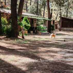 Finca El Lagunazo Riópar - Image 4