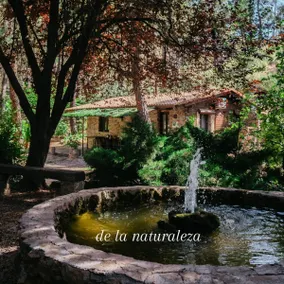 Finca El Lagunazo Riópar - Image 2