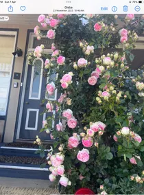 Glebe Emporium with easy parking - Central Hobart - Image 2