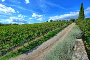 Brunello 1 by PosarelliVillas - Image 5