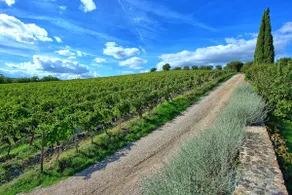 Brunello – Brunello 3 - Image 5
