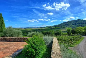 Brunello – Brunello 3 - Image 4