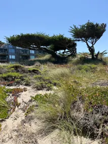 The Cypress Dune | Steps to Beach in Pajaro Dunes - Image 5