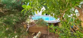 hyper center, air-conditioning, courtyard, swimming pool, parking are private - Image 3