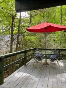 Cozy Peaceful Mountain Retreat Close to Parkway - Image 5