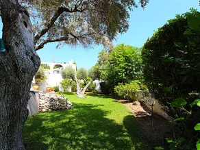 Fuente Del Baden Villa Flores - Image 5