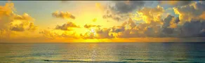 20ft TO THE BEACH-4 PPL-Best Location + Beach - Image 5
