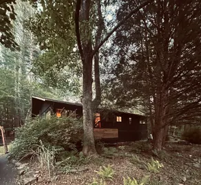 Retreat with huge deck, 5 mins to Woodstock - Image 2