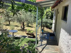 Olive Meadow Mountain Cottage - Image 4