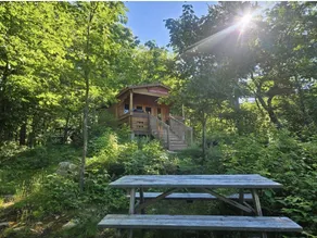 Pet Friendly Escarpment Hideaway | Lakeviews - Image 5