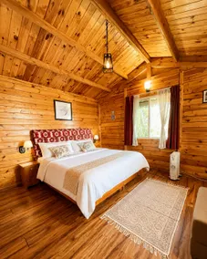 A Cozy cliffside cottage@Dhanaulti (Falcon Crest ) - Image 3