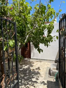 Dimitrios house - Image 5