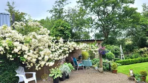 'Sleepy Hollow'Romantic cottage in idyllic garden - Image 4