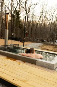 Secluded Stone Cabin w/ Wood-Fired Hot Tub - Image 4