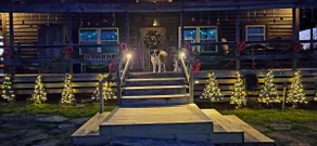 The Christmas Cabin at Christmas Tree Lane a real farm! Hallmark experience! - Image 4