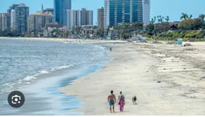 Long Beach Gem | Minutes To Beach/Restaurants/Fun - Image 5