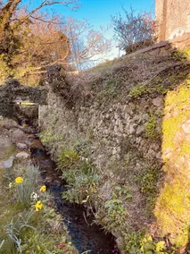Thatched Devon Cottage beside stream near beach - Image 4