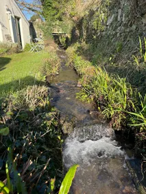 Thatched Devon Cottage beside stream near beach - Image 5