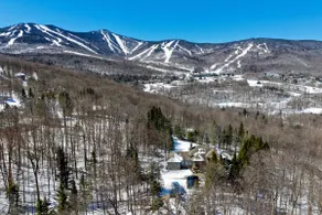 The Mountainside House - Luxury Home, Indoor Hot Tub, Ski Home, Private Shuttle - Image 3