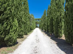 Apartment Podere Tre Termini-2 by Interhome - Image 4