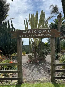 Papamoa Hills Cacti Guest House - Image 4