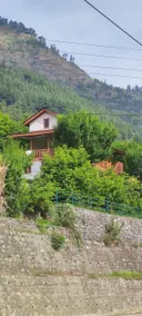 Ojas Wooden Cottages - Image 4